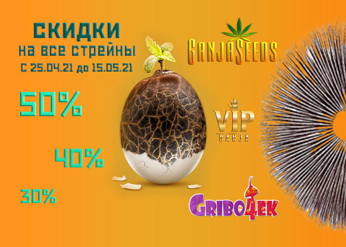 Пасхальная акция на споровые отпечатки грибов и семена конопли Пасхальная акция на споровые отпечатки грибов и семена конопли