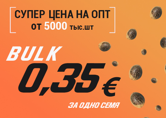Тотальный обвал оптовых цен на семена конопли BULK Тотальный обвал оптовых цен на семена конопли BULK