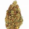 Annex feminised GanjaVIP Seeds Annex feminised GanjaVIP Seeds