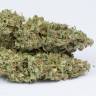 семена культурной конопли купить Auto OG Kush feminised Dinafem Seeds