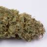 семена конопли индика Auto OG Kush feminised Dinafem Seeds