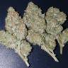 мощные семена конопли Auto Pineapple Express feminised Fast Buds