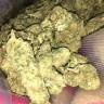 семена конопли интернет магазин Kalichakra regular Mandala Seeds