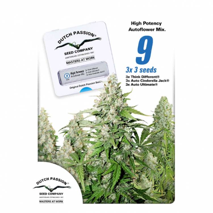 заказ семян конопли Москва Autoflower High Potency Mix feminised Dutch Passion Seeds