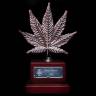 качественные семена конопли OG Kush CBD feminised Dinafem Seeds
