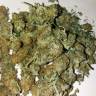 заказ семян конопли Спб Auto Lemon Haze feminised