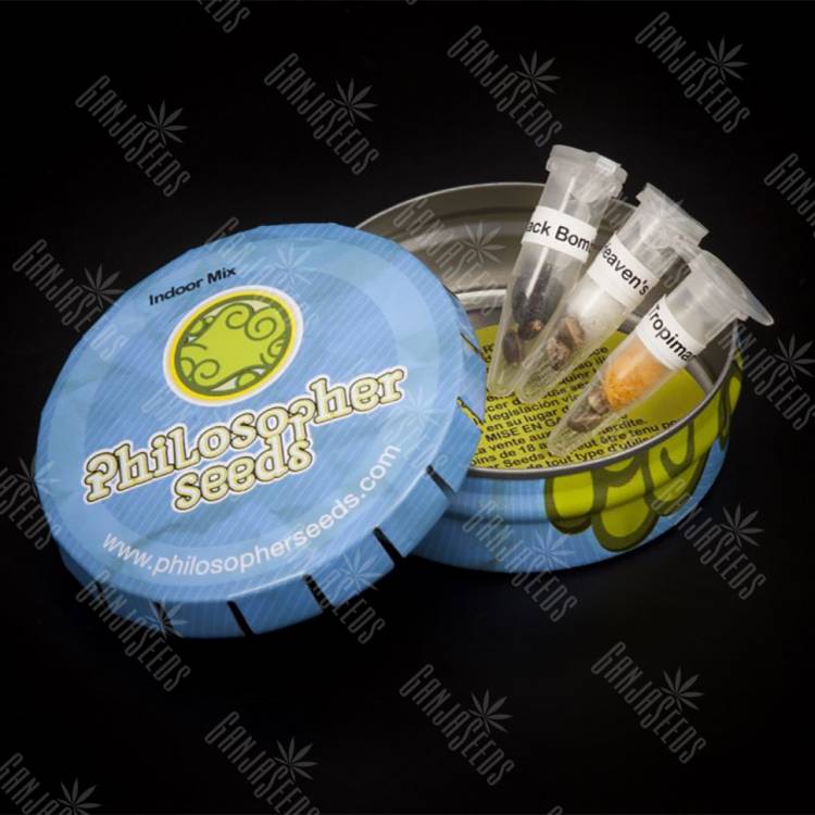 семена конопли Москва Indoor Mix feminised Philosopher Seeds семена конопли Москва Indoor Mix feminised Philosopher Seeds