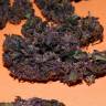 Качественные семена марихуаны Auto Bloody Skunk feminised GanjaLiveSeeds