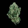 семена конопли индика Kandy Kush regular Reserva Privada