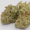 заказ семян конопли Grapefruit Haze feminised
