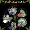 семена конопли Москва Indica Mix E feminised Green House Seeds