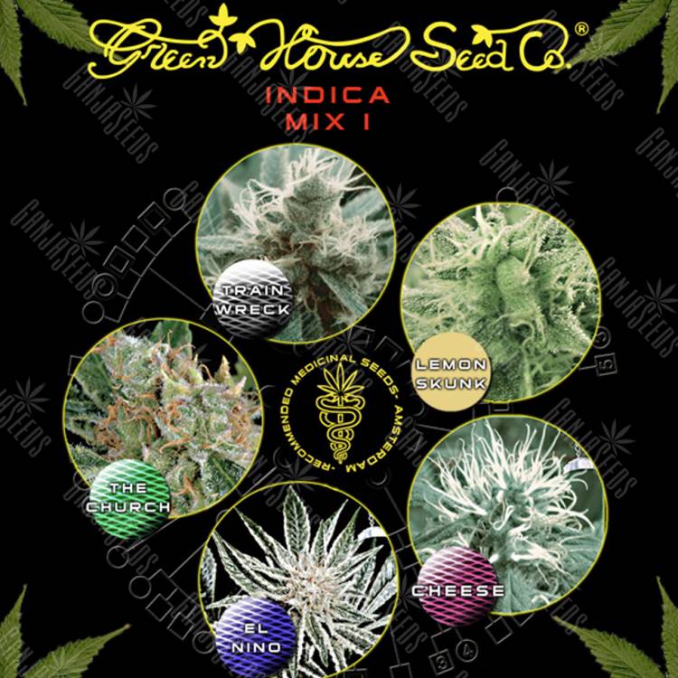 семена конопли в интернете Indica Mix I feminised Green House Seeds семена конопли в интернете Indica Mix I feminised Green House Seeds