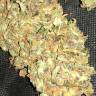семена конопли Auto Big Bud feminised