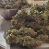 семена конопли курьером Bubba Kush 2.0 feminised Humboldt Seeds