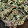 семена культурной конопли купить Tangerine Dream feminised Barneys Farm