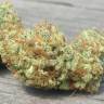 семена конопли курьером Top Dawg feminised Barneys Farm