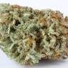 Купить семена Master Kush feminised Ganja Seeds Купить семена Master Kush feminised Ganja Seeds