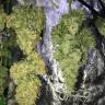 семена конопли для посадки купить Auto White Widow regular
